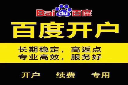 SEM搜索引擎优化：成功案例解析